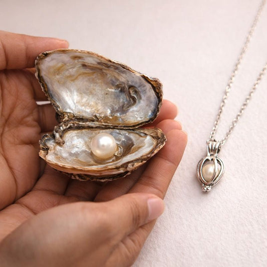 Freshwater Shell Canned Oyster Ocean Love Real Pearl Necklace Set